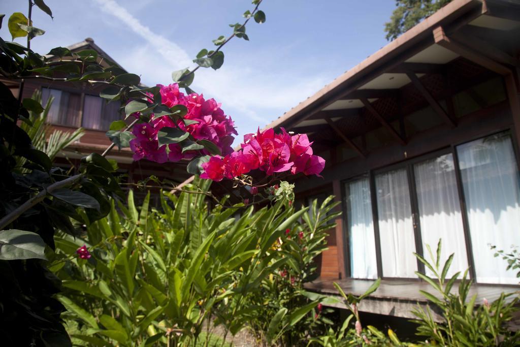 Kenaki Lodge Puerto Viejo de Talamanca Zewnętrze zdjęcie