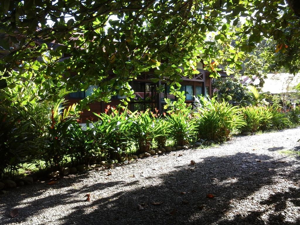 Kenaki Lodge Puerto Viejo de Talamanca Zewnętrze zdjęcie
