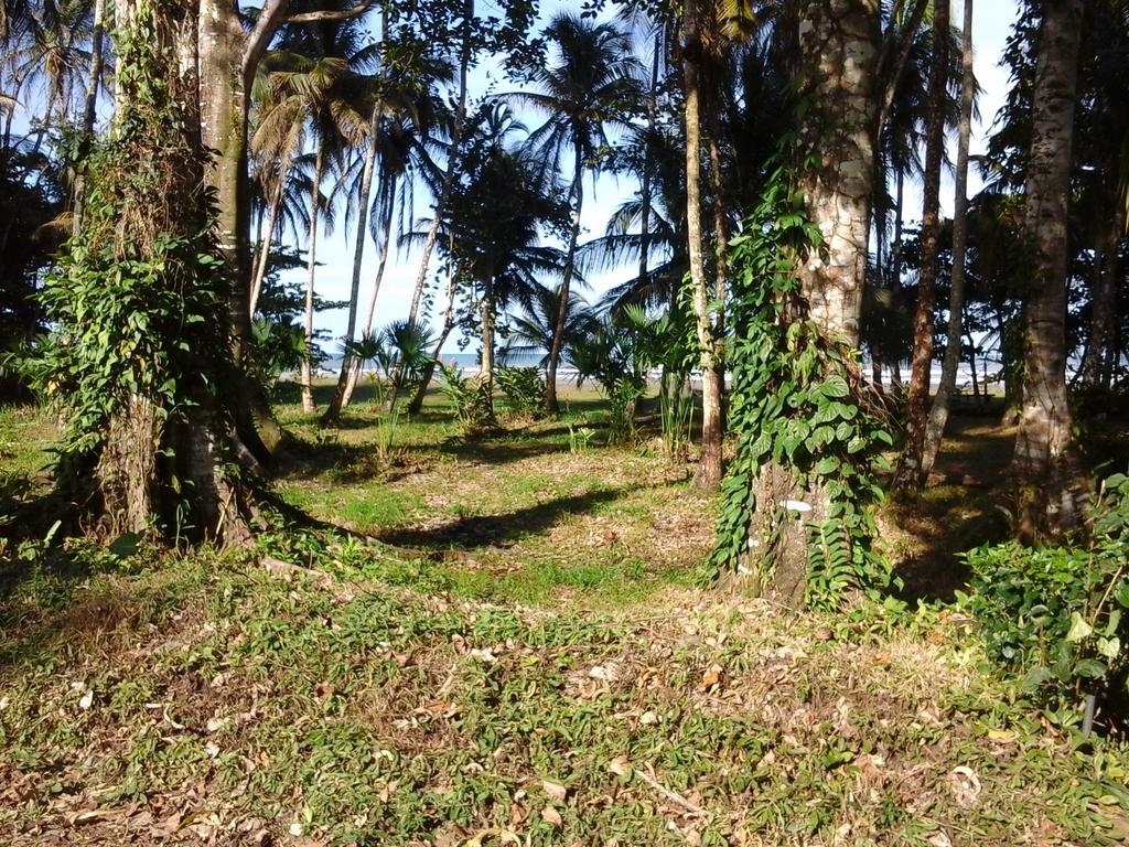 Kenaki Lodge Puerto Viejo de Talamanca Zewnętrze zdjęcie