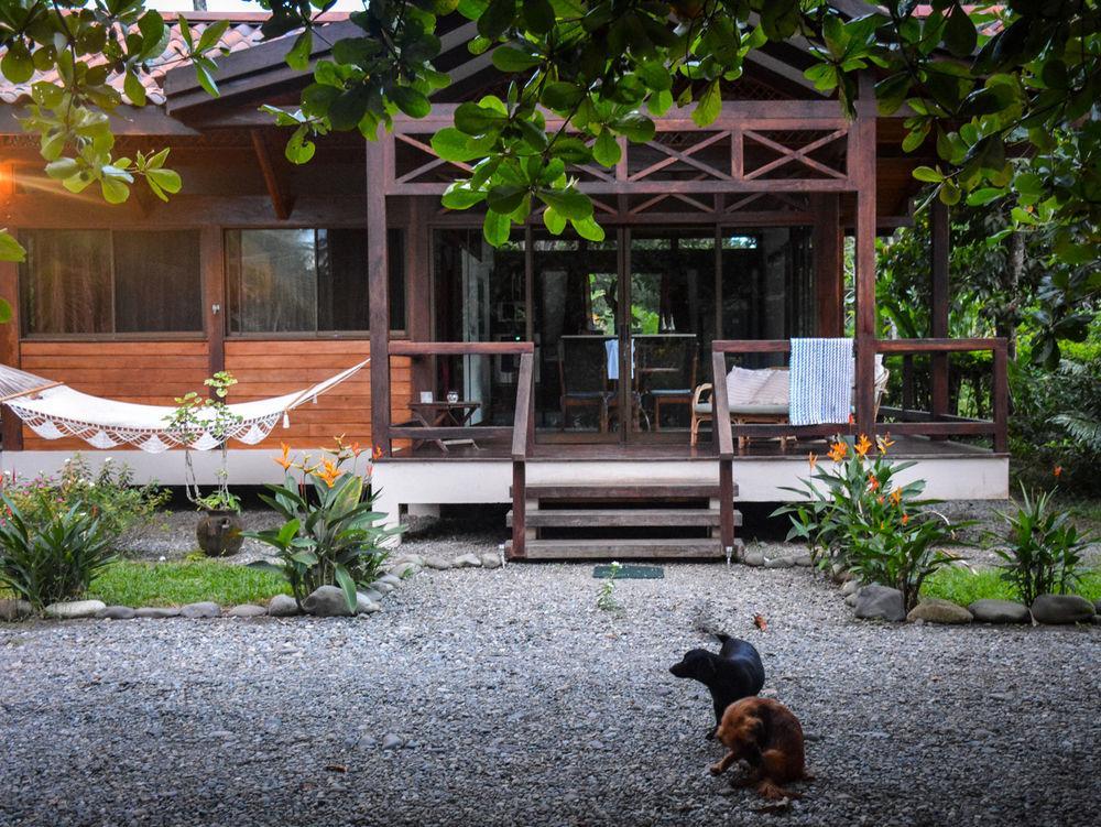 Kenaki Lodge Puerto Viejo de Talamanca Zewnętrze zdjęcie