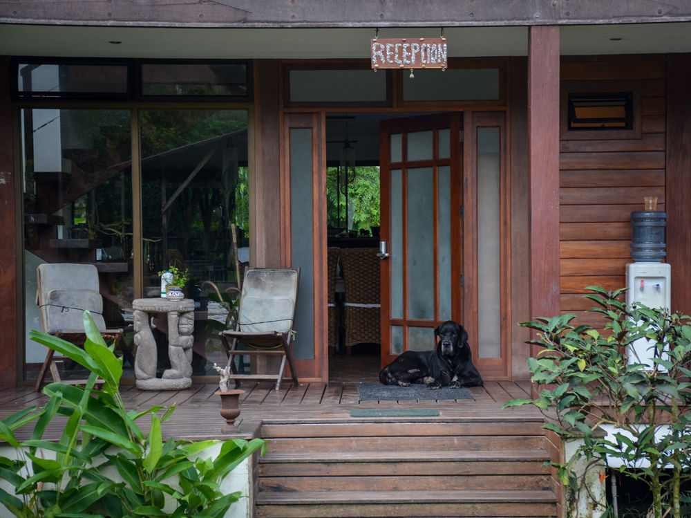 Kenaki Lodge Puerto Viejo de Talamanca Zewnętrze zdjęcie